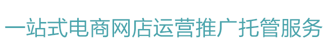 品牌電商運維